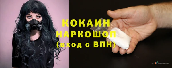PSILOCYBIN Балахна