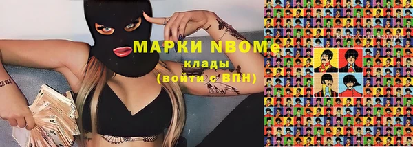 PSILOCYBIN Балахна