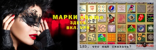 ALPHA PVP Баксан